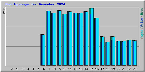 Hourly usage for November 2024