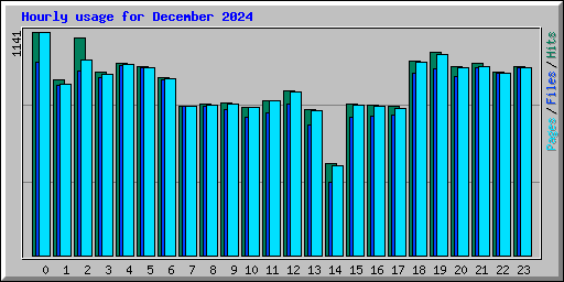 Hourly usage for December 2024