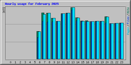 Hourly usage for February 2025