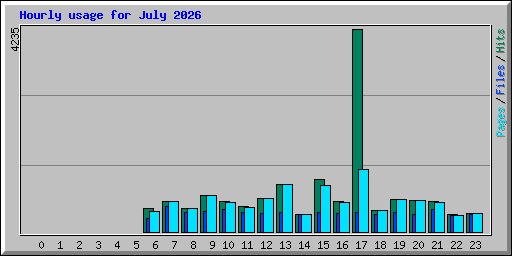 Hourly usage for July 2026